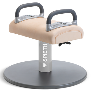 Double Pommel Trainer