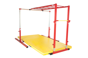 Shinobi Training Salmon Ladder