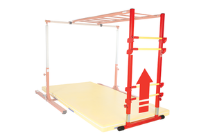 Shinobi Training Salmon Ladder