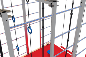 Folding Ninja Frame 10'X8'