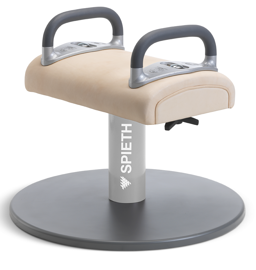 Double Pommel Trainer