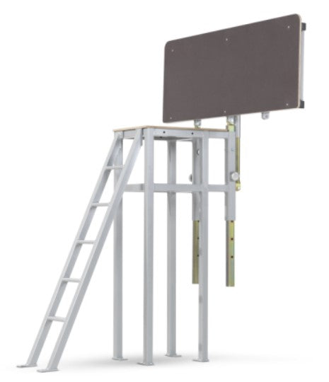 Trainer Platform Movable Ladder