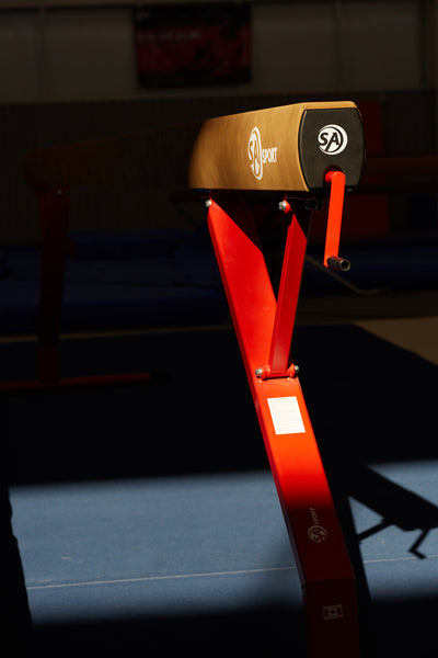 REPLACEMENT CRANK HANDLE