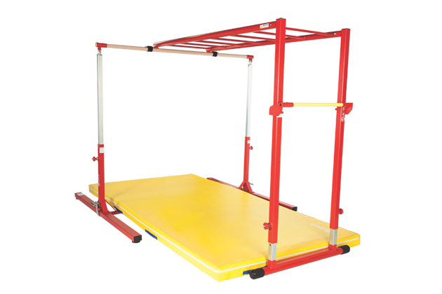 Shinobi Training Salmon Ladder