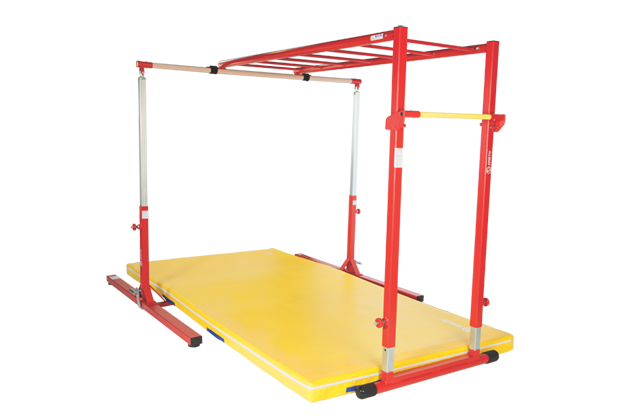 Shinobi Training Salmon Ladder