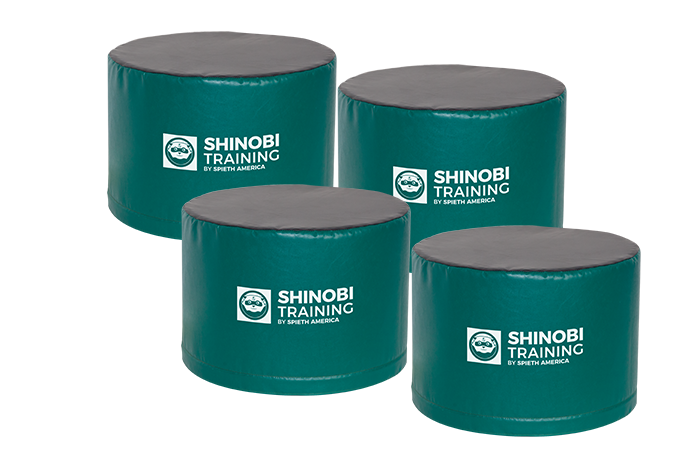 Shinobi Training Kyu Package